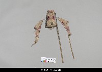 藏品(中國湖北皮影戲偶身-上半身)的圖片